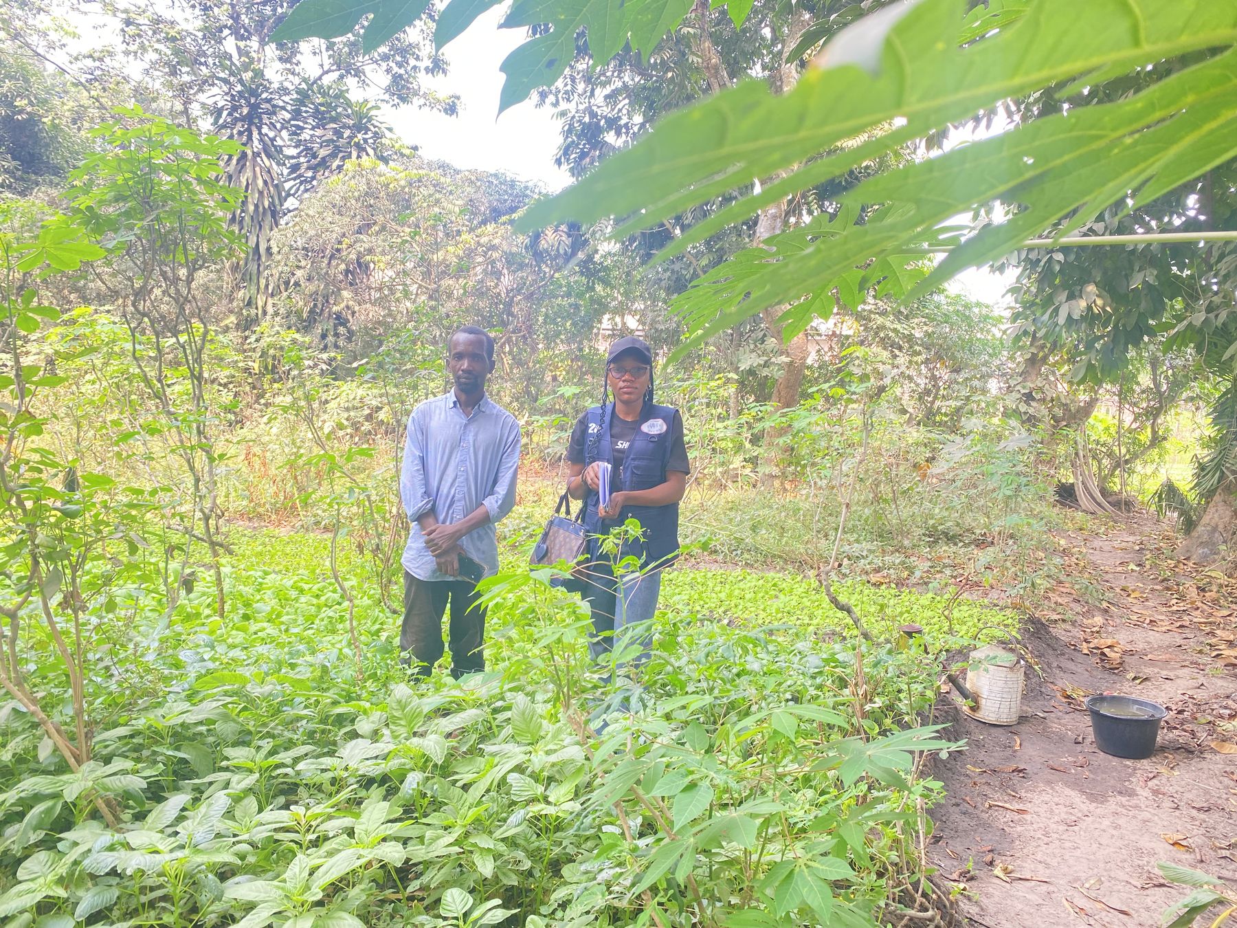 Visite d'un projet agricole.