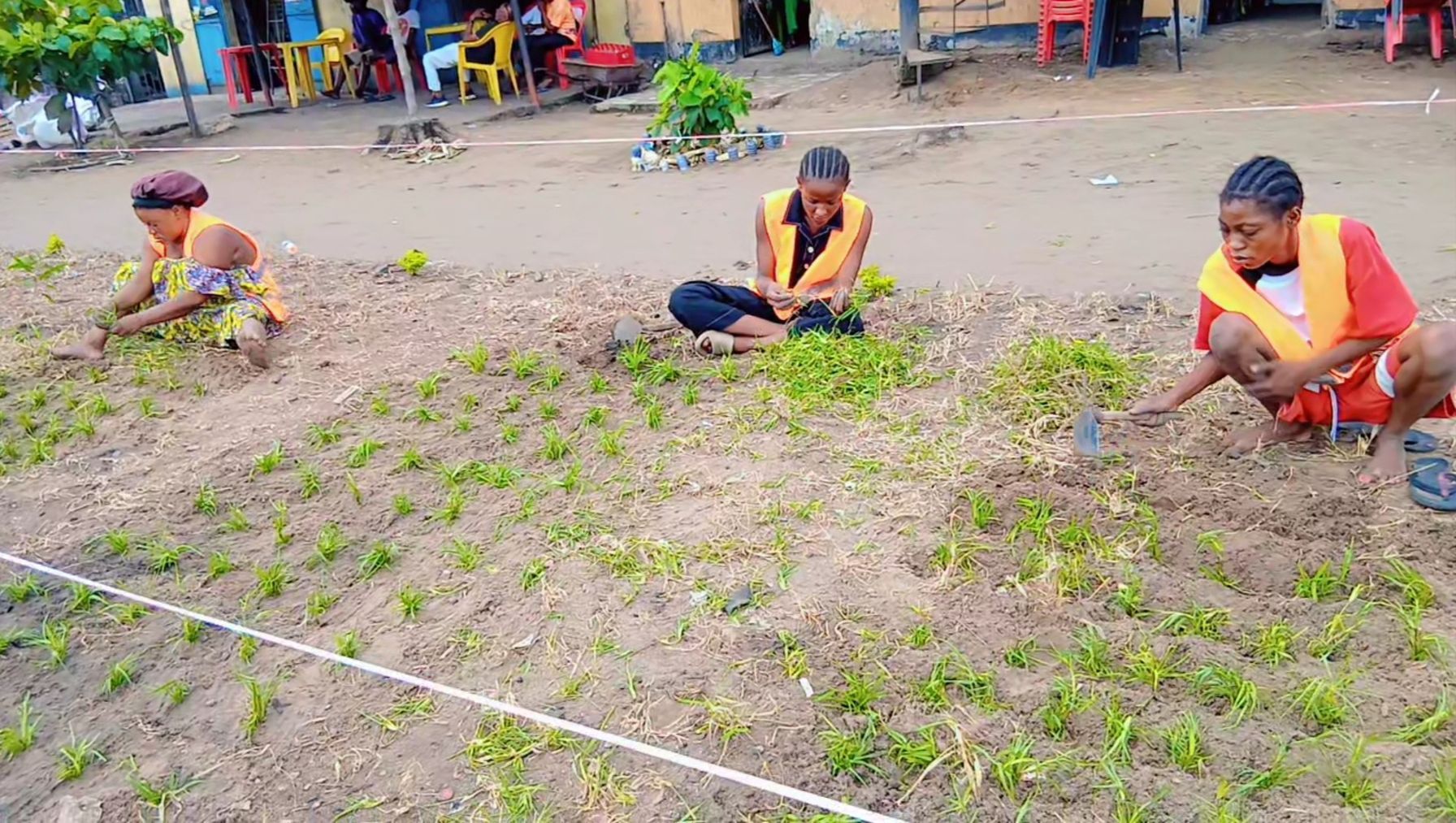 La pelouse prend racine sur les 1 400 m² du site.